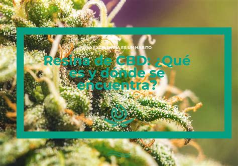 Resina De Cbd Qu Es Y D Nde Se Encuentra Higea Cbd