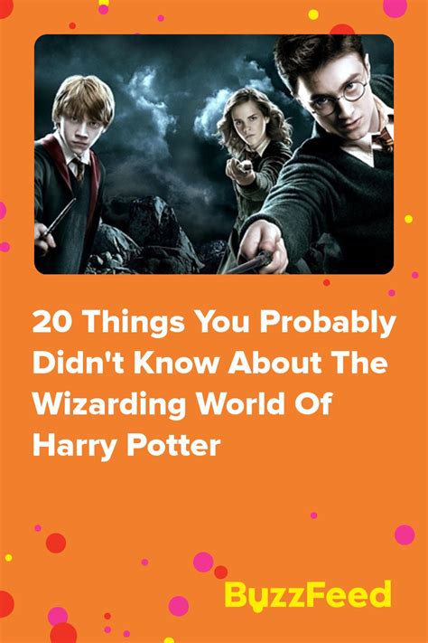 Things You Probably Didn T Know About The Wizarding World Of Harry