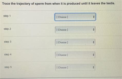 Solved Trace The Trajectory Of Sperm From When It Is