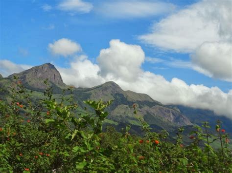 Munnar And Thekkady Lush Green Tea Gardens To Aromatic Spice Plantations Tripoto