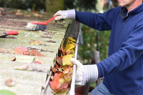 Dakgoot Schoonmaken Hulp Nodig Haagsche Dakwerken