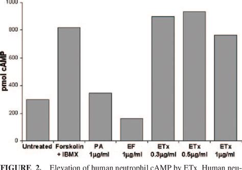 Figure 1 From Bacillus Anthracis Toxins Inhibit Human Neutrophil Nadph Oxidase Activity1