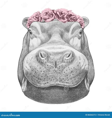 Portrait Of Hippo With Floral Head Wreath Stock Illustration Illustration Of Floral Fashion