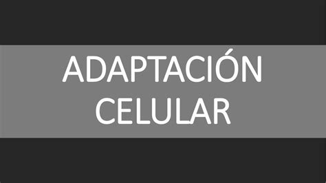 ADAPTACIÓN CELULAR CIENCIAS DE LA SALUD uDocz