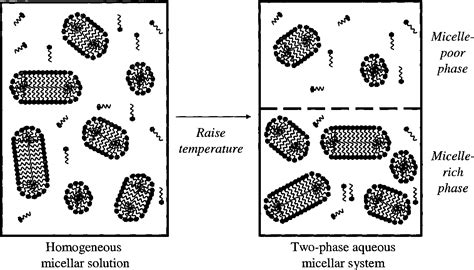 Figure 2 1 From Electrostatic And Affinity Enhancements Of Protein