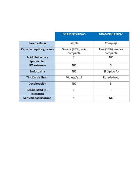 Diferencias Gram Positivas Y Negativas ResÚmenes MÉdicos Udocz