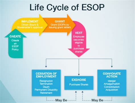 Employee Stock Option Plan For An Unlisted Company