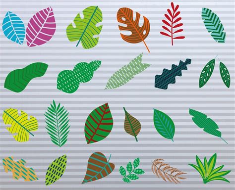 Tropical Leaves Svg Monstera Leaf Svg Clipart Commercial Use Etsy