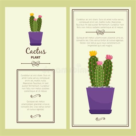 Tarjeta De Felicitaci N Con La Planta Del Cactus Ilustraci N Del Vector