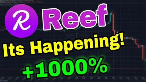 Reef Huge Alert Reef Coin Price Prediction Analysis Reef News Today