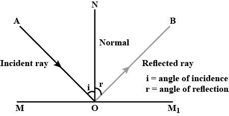 Ray Diagrams