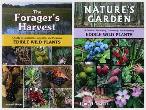 Identifying Wild Edible Plants