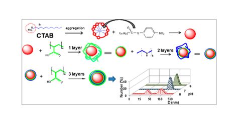 Polyelectrolyte Capsules With Tunable Shell Behavior Fabricated By The Simple Layer By Layer