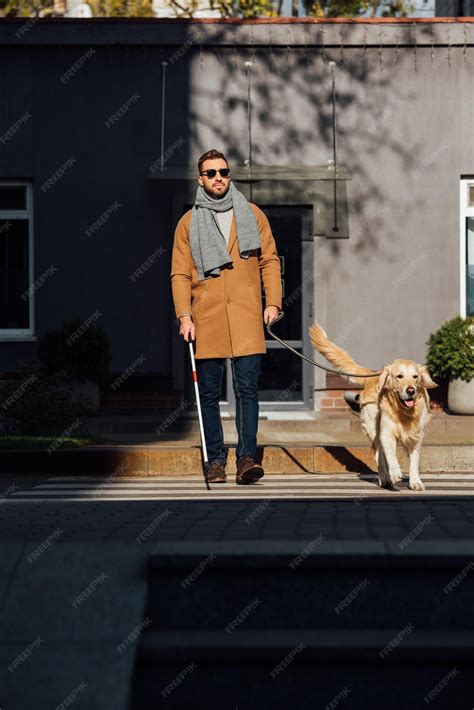 Premium Photo Blind Man Walking With Guide Dog And Walking Stick On