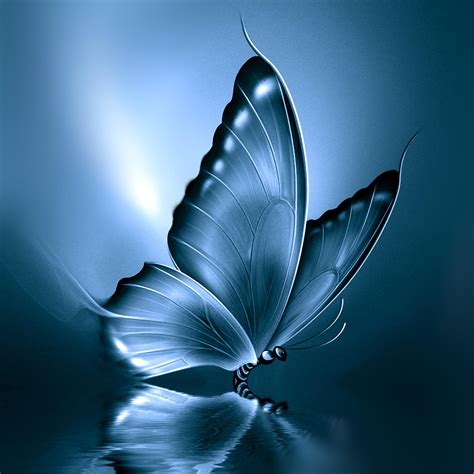 Light Butterfly Wallpapers - Top Free Light Butterfly Backgrounds - WallpaperAccess