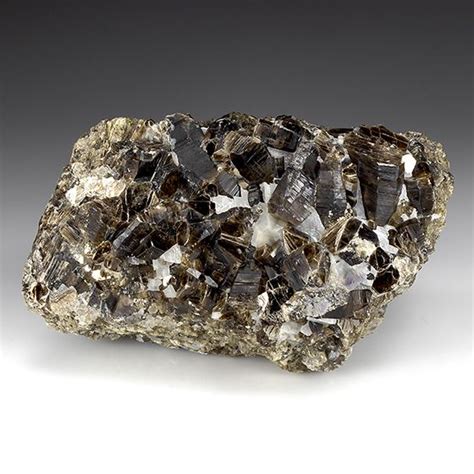 Phlogopite Mineral