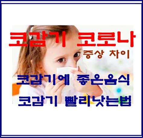 코감기 코로나 증상 차이코감기에 좋은 음식코감기 빨리 낫는법 네이버 블로그