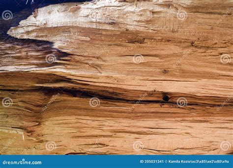 Raw Hardwood Texture Raw Hardwood Texture Stock Image Image Of