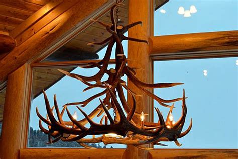 Decorating Ideas With Elk Antlers Shelly Lighting