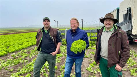 Egal ob knackiger Eisberg würziger Rucola oder klassischer Romana