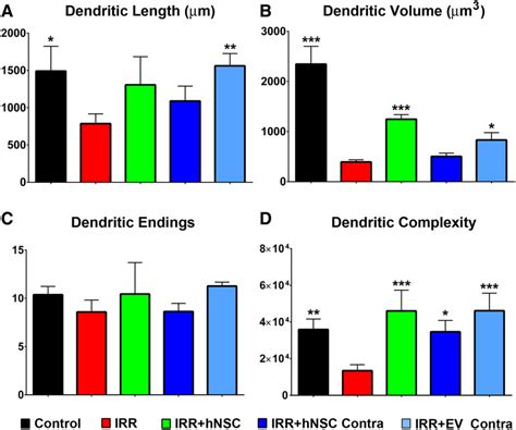 Unilateral Transplantation Of Human Neural Stem Cells HNSCs Or