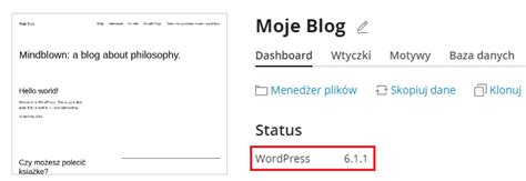 Jak sprawdzić z jakiej wersji WordPress korzystam Domenomania pl