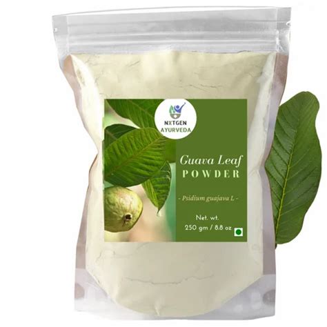 Guava Leaves Powder Guava Leaf Powder Guava Fruit Powder Guava Juice