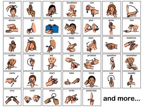 Learn Sign Language By Bridget Mitchell Musely Sign Language Basics