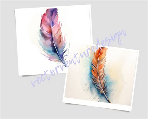 Watercolor Feather Clip Art 10 PNG Digital Bundle Instant Download ...