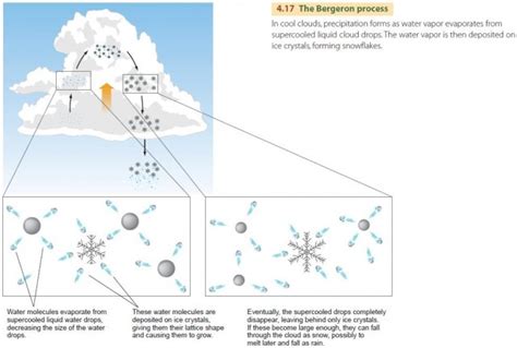 Precipitation