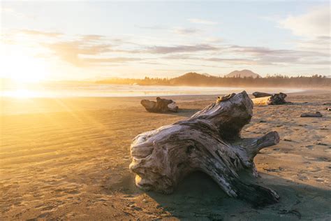 A Guide To Visiting Tofino British Columbia Wanderous Heart