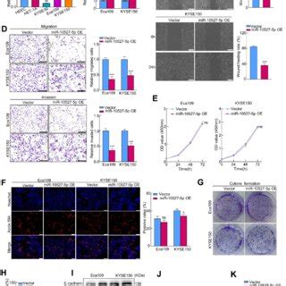 Proposed Model Of Exosomal Mir P Mediated Migration Invasion