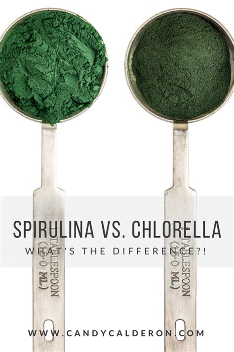 SPIRULINA VS. CHLORELLA | WHAT'S THE DIFFERENCE?! - Candy Calderon