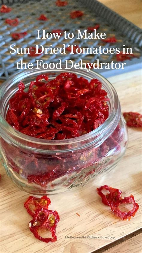 How To Make Sun Dried Tomatoes In The Food Dehydrator Dehydrator Recipes Food Make Sun Dried