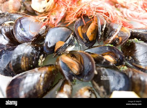 Shellfish Recipes Hi Res Stock Photography And Images Alamy