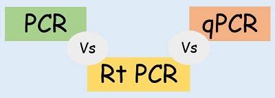 Difference Between PCR RT PCR And QPCR With Procedure And Comparison