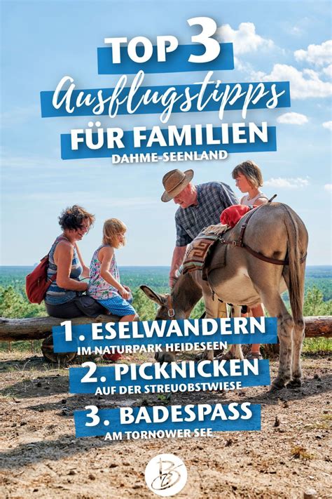 Top Ausflugstipps vom Eselwandern bis Badespaß Ausflug Familien