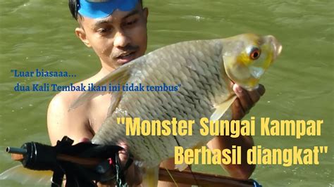 Butuh Tiga Orang Mengangkat Ikan Ini Ke Atas Berburu Tawes Monster