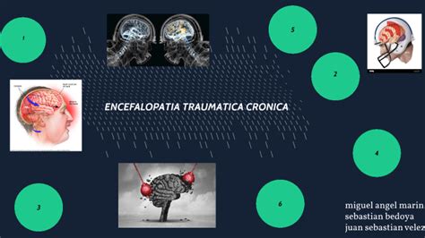 Encefalopatia Traumatica Cronica By Miguel Marin On Prezi