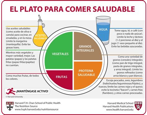 Plato De Harvard Qu Es Y C Mo Mejora Mi Alimentaci N