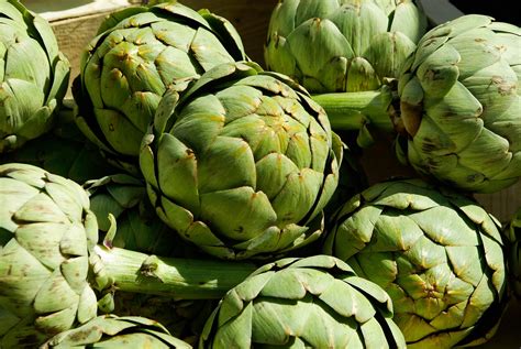 Artichokes Vegetables Agriculture Free Photo On Pixabay Pixabay