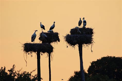 Monumento Natural De Los Barruecos De Photograph By Carlos Jose Pache