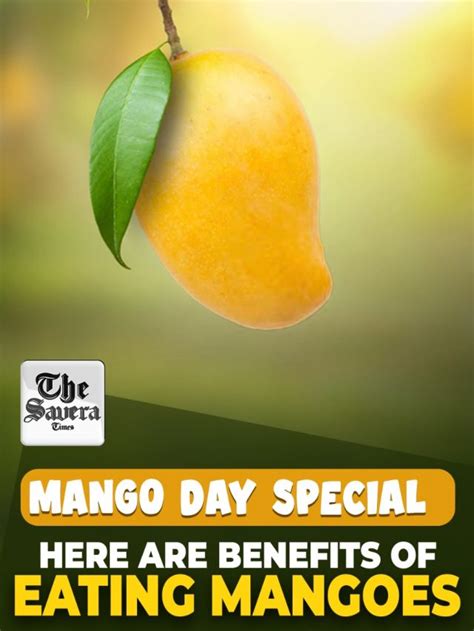 National Mango Day Benefits Of Eating Mangoes