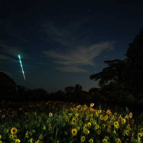 Bright Fireball Above East Coast Was Meteor: NASA | Arlington Daily Voice