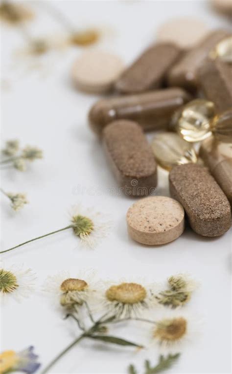 Medicinal Capsules With Dried Medicinal Herbs On White Background Stock