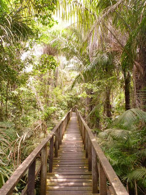 Lekki Conservation Centre - Lagos | park