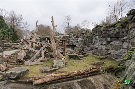 Malaienbär - Kölner Zoo | Freizeitpark-Welt.de