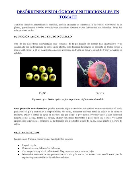 Pdf Desordenes Fisiologicos Y Nutricionales En Tomate Dokumen Tips