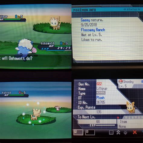 [5] SBQ 2: Shiny Lillipup appears after 8,880 random encounters ...