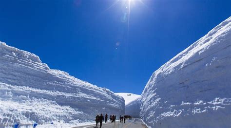 Tateyama Kurobe Alpine Route And Snow Wall Walk Day Trip From Nagoya